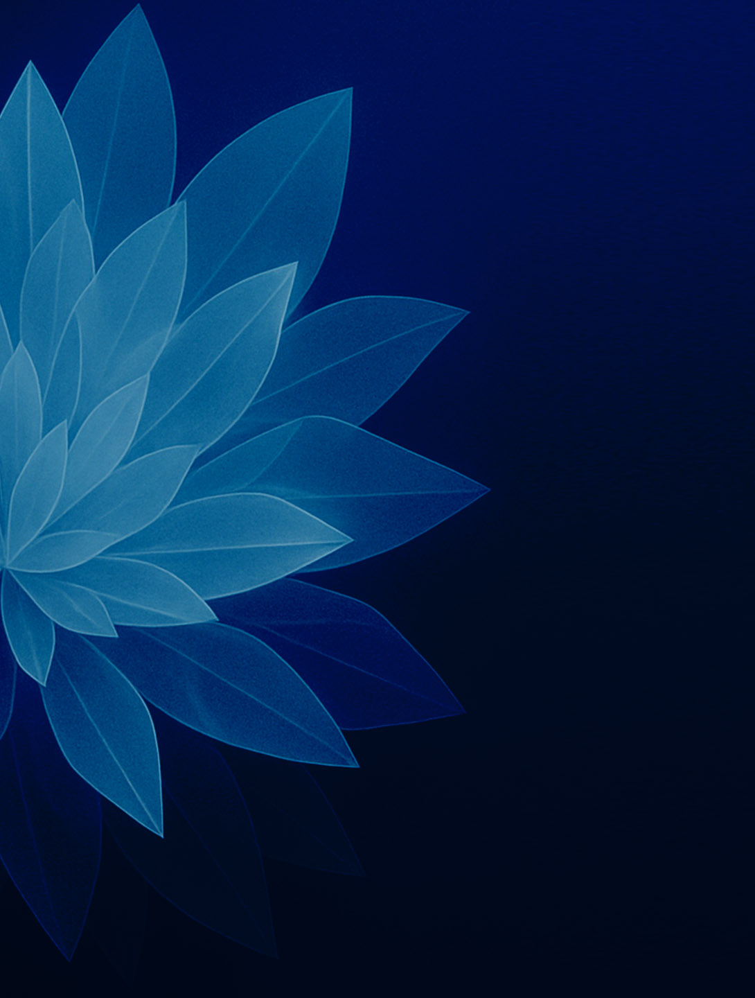 Comprehensive AI Implementation Education for Healthcare Practitioners